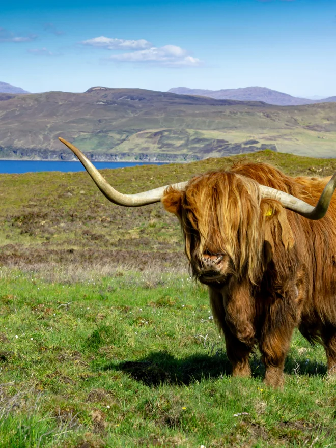 Skar Labra Tour | Scottish Highlands & Islands | Globus | GJ-2027